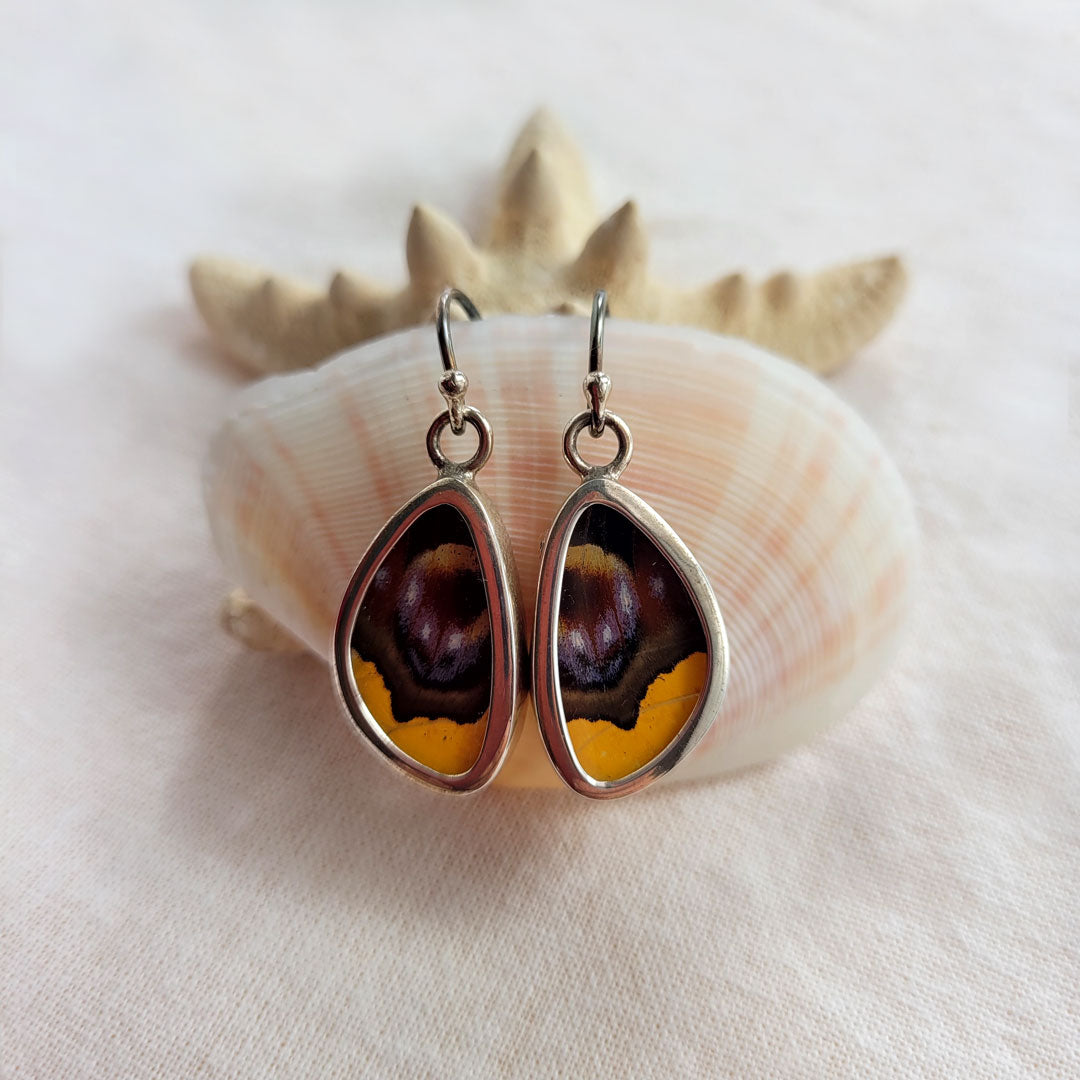 Real Butterfly Wings and Sterling Silver Earrings