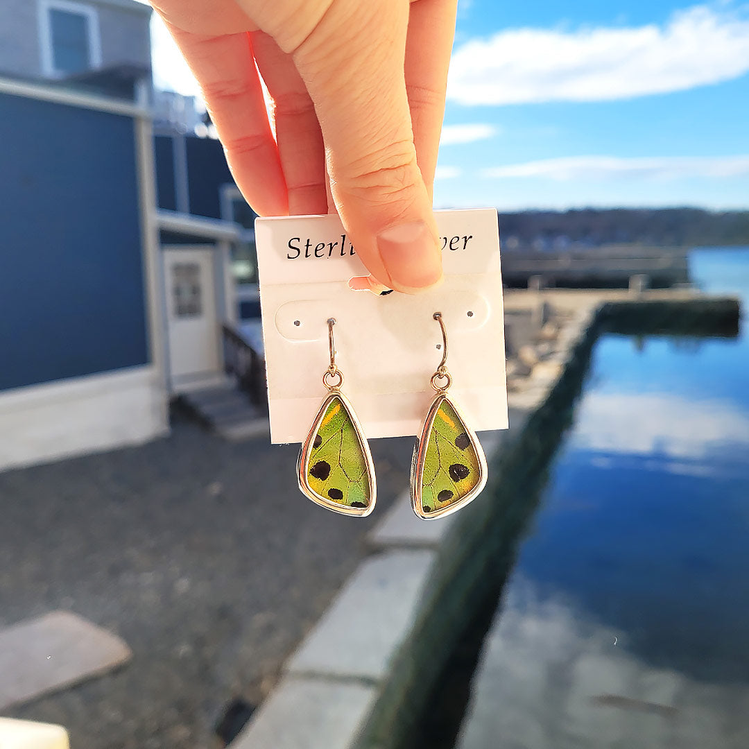 Real Butterfly Wings and Sterling Silver Pendant