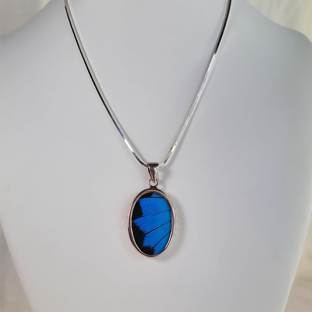 Real Butterfly Wings and Sterling Silver Pendant