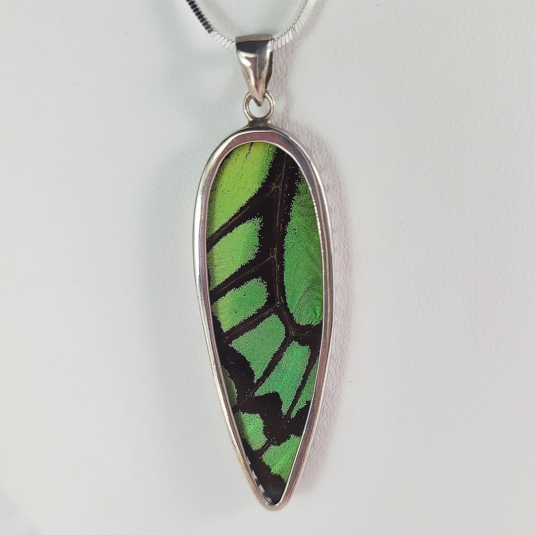 Real Butterfly Wings and Sterling Silver Pendant