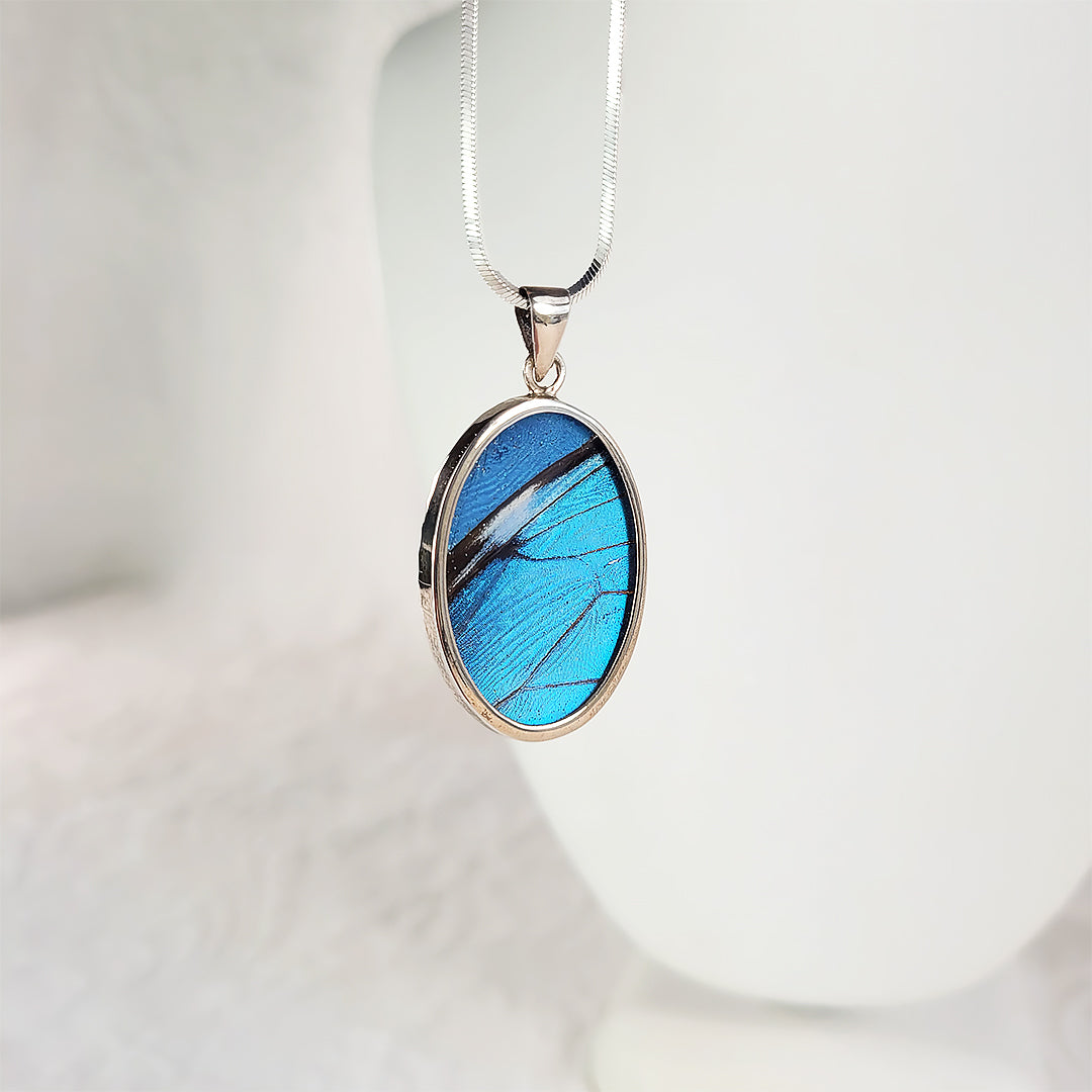 Real Butterfly Wings and Sterling Silver Pendant