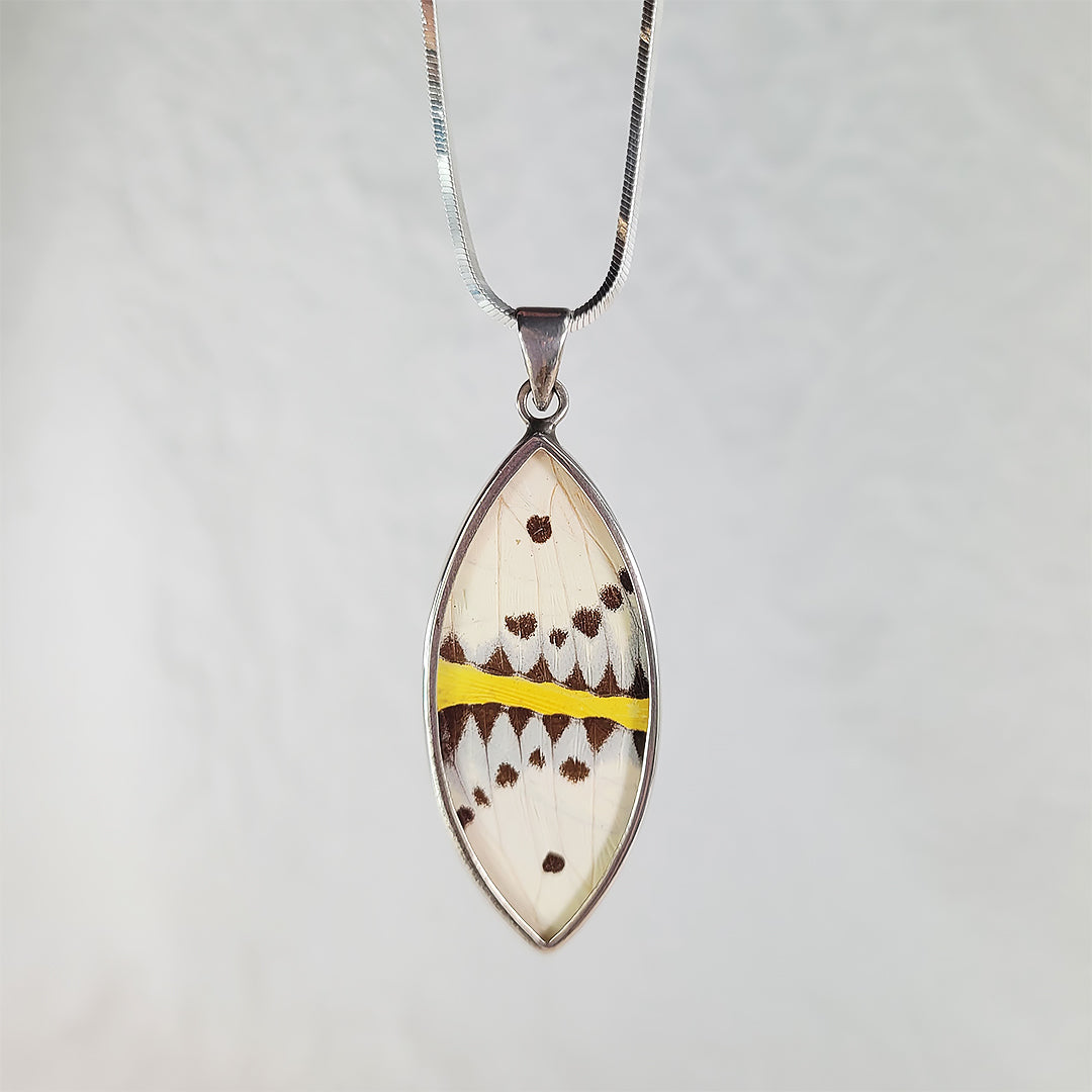 Real Butterfly Wings and Sterling Silver Pendant