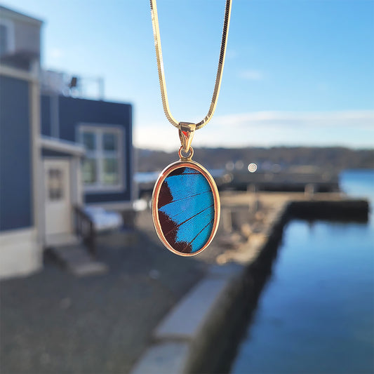 Real Butterfly Wings and Sterling Silver Pendant