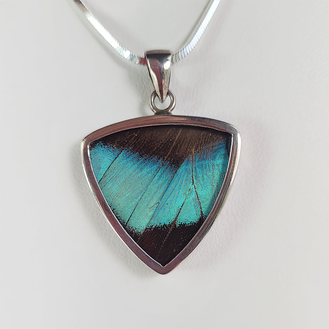 Real Butterfly Wings and Sterling Silver Pendant