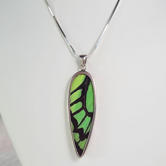 Real Butterfly Wings and Sterling Silver Pendant