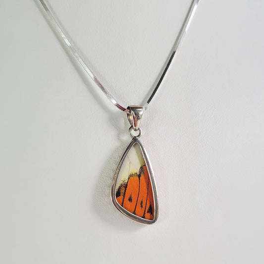 Real Butterfly Wings and Sterling Silver Pendant